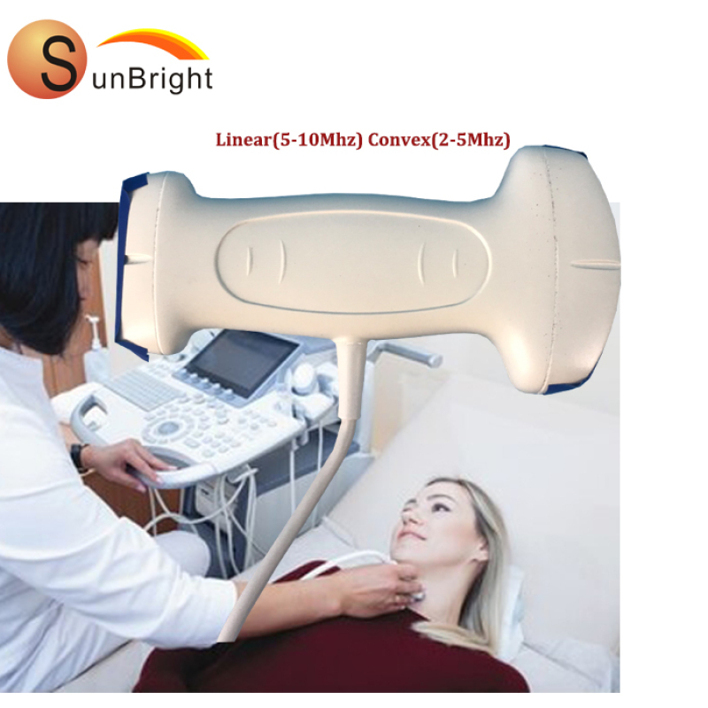 Sonde à ultrasons USB linéaire de haute qualité 2 en 1 avec sonde à double tête