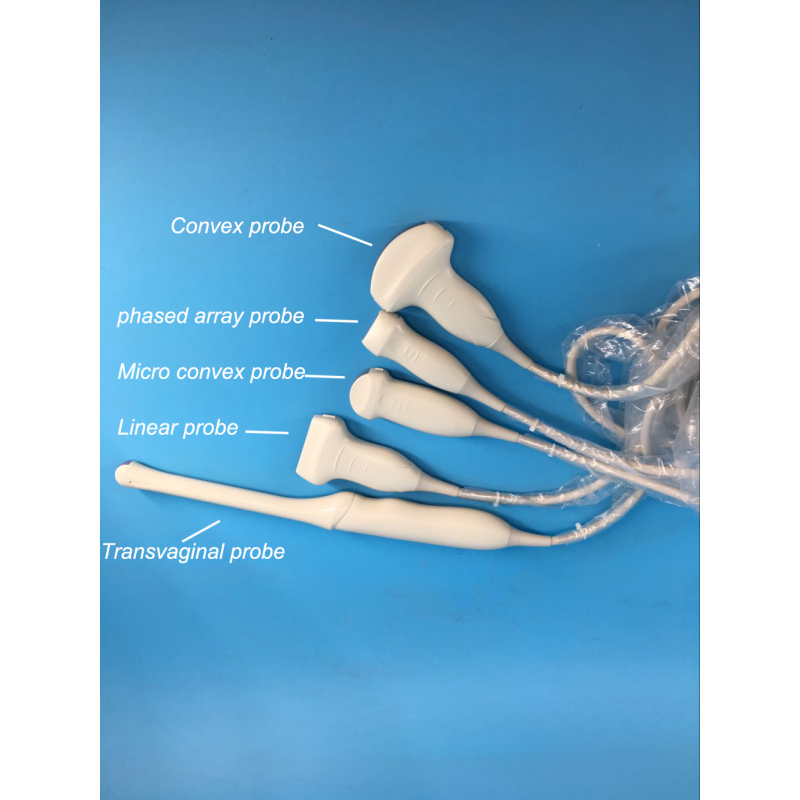 digital ob gyn PW color doppler scanner medical machine 3d 4d color doppler