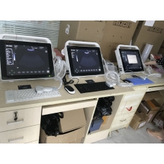 Veterinary Ultrasound Scan vet 15 inch touch screen vet ultrasound Machine SUN-800S