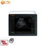 HIgh end quality analysis image ultrasound for horse