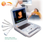 high intensity full digital portable handheld 3D 4D ultrasound veterinary machine dog use