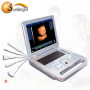 Rabatt preis laptop 3D 4D tragbare SUN-800D ultraschall scanner analyzer