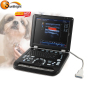 Digital vet veterinary color doppler ultrasound