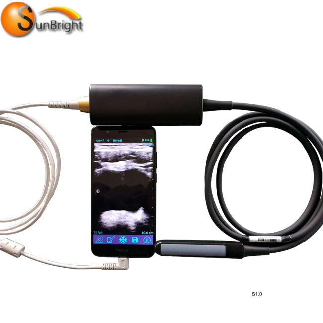 Veterinary Vet Rectal Linear USB probe ultrasound for animal use