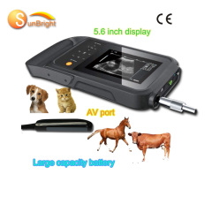 Cheap Portable ultrasound machine for veterinary ultrasound for Bovine Equine with rectal probes