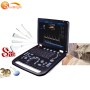 Laptop 128 elements 15 inch high quality color doppler cheapest ultrasound