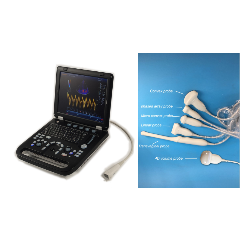 Sunbright SUN-906B Ecografo color Doppler portatile 2D 3D 4D