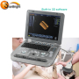horse dog cats animals pregnancy farm clinic use veterinary ultrasound machine