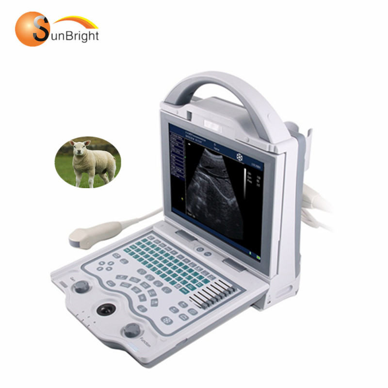 Veterinärgerät billiger tragbarer Ultraschall für Tierärzte, der für das Scannen von Tierschwangerschaften verwendet wird