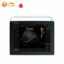 high frequency medical gynaecology diagnosis handheld tablet digital portable ultrasound machine
