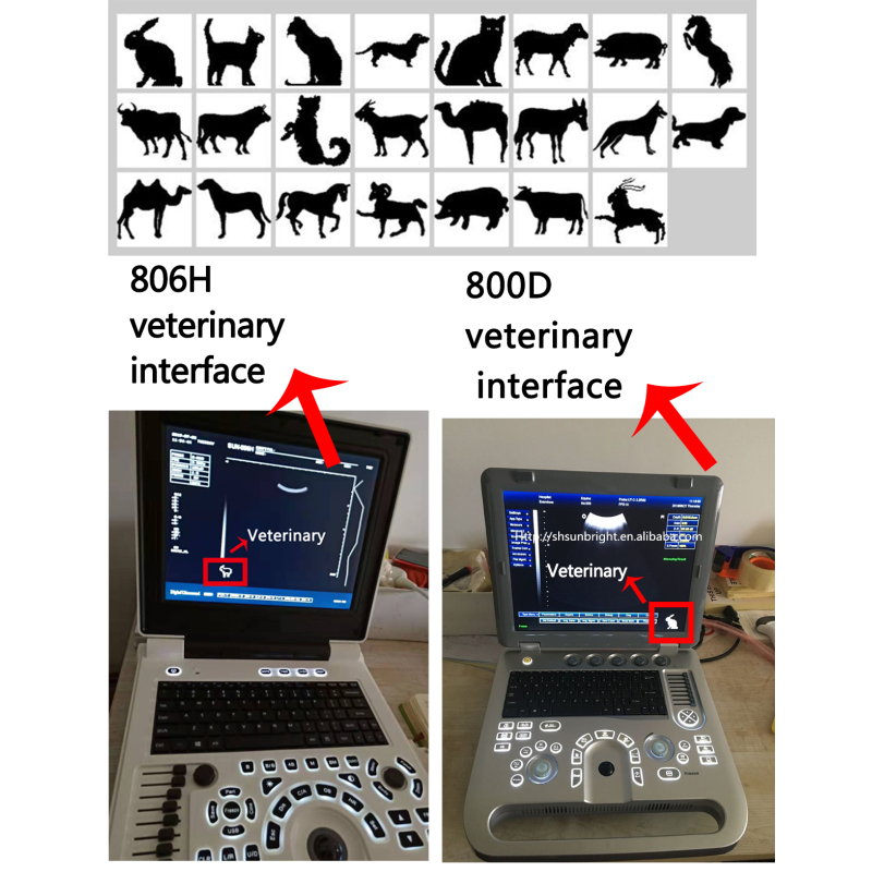 laptop 12 inches ultrasound diagnostic system machine 3d ultrasound machine cost