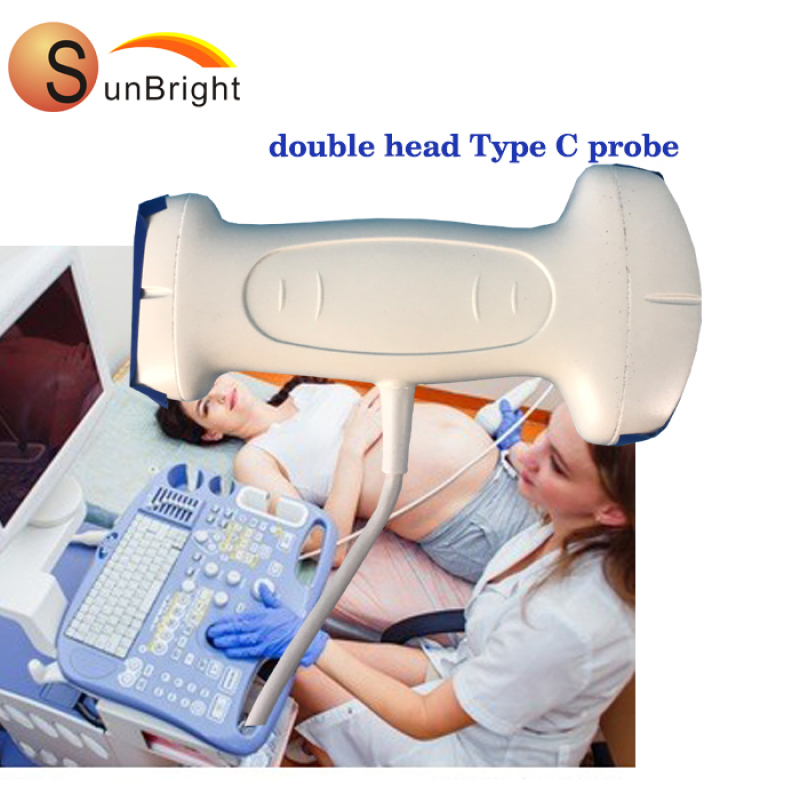 ecografia veterinaria simile alla sonda Doppler a colori Mindray a doppia testa