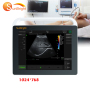 Big sale 15 inches touch screen optional tablet design ultrasound machine ecografo