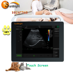 Vet Ultrasound Portable Veterinary Medical UltrasounD Machine Price