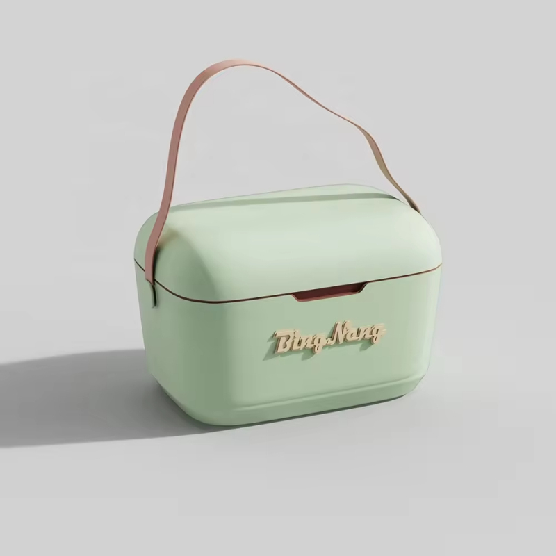 Camping Portable Plastic OEM Hard Insulated Mini Ice Chest Cooler Box