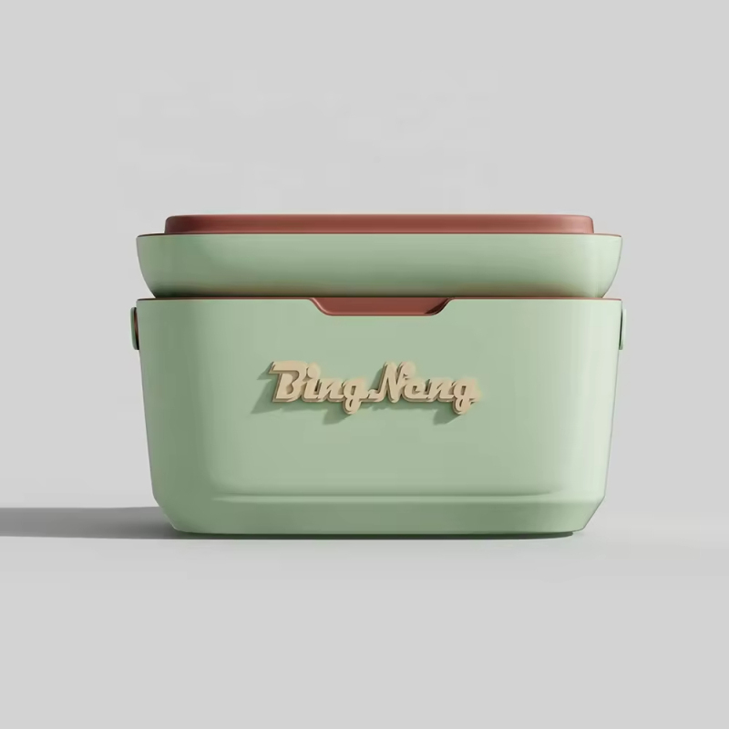 Camping Portable Plastic OEM Hard Insulated Mini Ice Chest Cooler Box