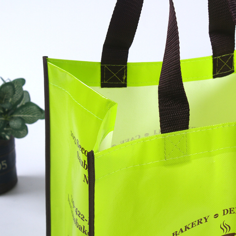Wholesale Custom Handled Colorful Printing Eco Friendly Recycle Reusable PP Laminated Non-woven Tote Shopping Bags