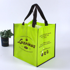 Wholesale Custom Handled Colorful Printing Eco Friendly Recycle Reusable PP Laminated Non-woven Tote Shopping Bags