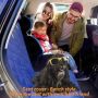 Housse de protection imperméable et antidérapante pour siège de voiture pour chien, housse de siège hamac pour animal de compagnie