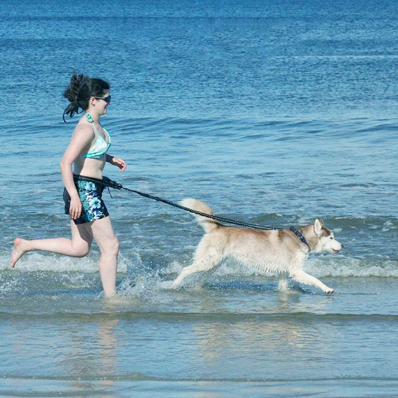 Custom High Quality Woman Luxury Waist Bag Dog Walking Fanny Pack