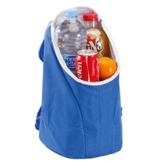 Custom Leak Proof Thermal Insulation Picnic Lunch Bag Camping Insulated Cooler Backpack