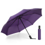 Custom Logo Color Windproof Waterproof Compact Outdoor Automatic 3 Fold Umbrella