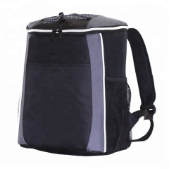 Custom Logo Reusable Thermal Soft Cooler Backpack Insulated Waterproof Cooler Bag For Picnic