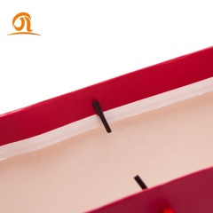 Premium Sturdy Durable 250g Thick Gift Bag Cotton Handles Bag Perfect for Gift Bags Party Bags