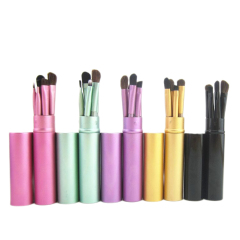 5Pcs Eye Makeup Brush Set W/ Case