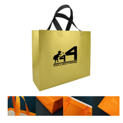 Coated Non-Woven Shopping Bag