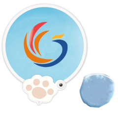 Fold Up Flying Disc w/ Pouch