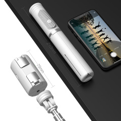 Funsnap®Extension Pole Tripod Stand
