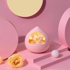 Rotating Music Box Night Light