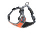  Vest Harness with Leashes Set