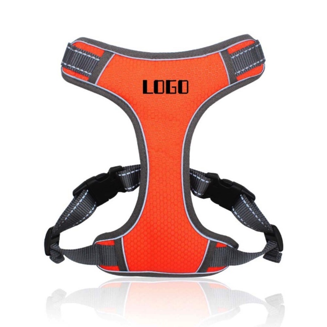  Vest Harness with Leashes Set