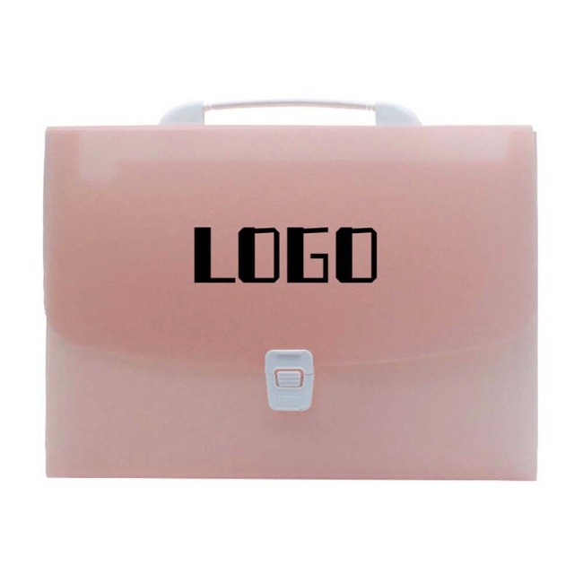 Portable Translucent Organ Bag