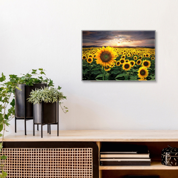 Art Abstract Oil Paintings Sunflower Decorative Picture Gifts Modern Printed framless canvas art print painting