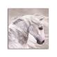 Modern style gloomy white horse animal art ink printed painting, OEM design custom printed canvas painting