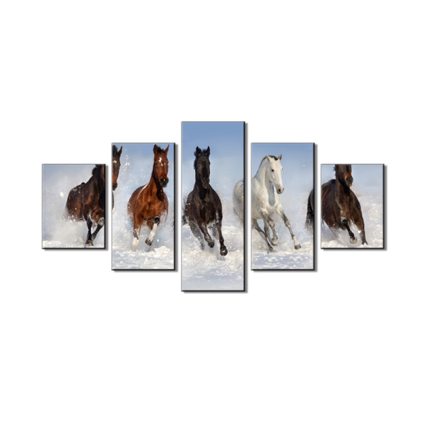 5 Pieces Wholesale horse print oil painting on canvas for Living Room christmas decoration unframed