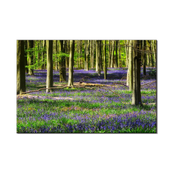 Modern Landscape Wall Art Natural Trees Canvas Painting Sunshine Posters and Prints Pictures for Living Room Home Decoration