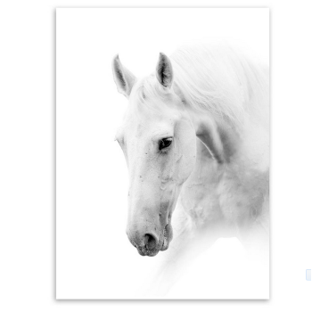 Triptych Modern White Horse Head Photo A4 Poster Impression Animals Wall Picture Nordic Home Decor Canvas Painting No Frame Gift