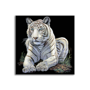 High end rolled packing lovely white tiger animal painting, hanging canvas art painting without frame High end rolled packing lovely white tiger animal painting, hanging canvas art painting without frame