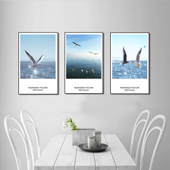 HD Seagull Poster Picture 3 Panel Modern Wall Art Canvas Printed Painting Hot Selling In AU market