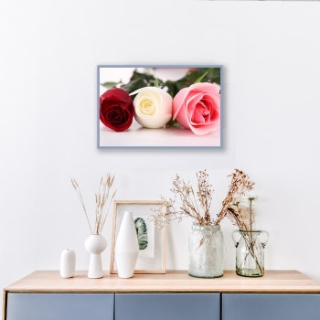 Elegant rose canvas printed decorative painting for living room and bedroom
