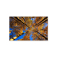 Hot sale OEM autumn landscape living room bedroom decoration painting printing canvas oil painting