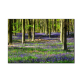 Modern Landscape Wall Art Natural Trees Canvas Painting Sunshine Posters and Prints Pictures for Living Room Home Decoration