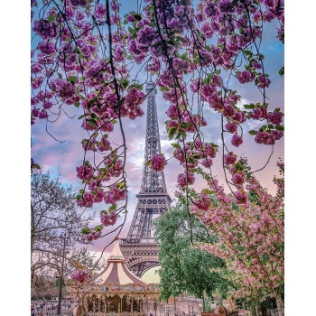 New diy digital oil painting European style beautiful life landscape flower animal decoration digital painting