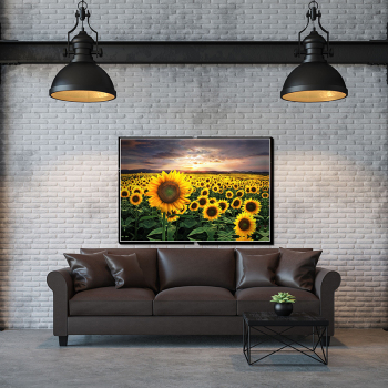 Art Abstract Oil Paintings Sunflower Decorative Picture Gifts Modern Printed framless canvas art print painting