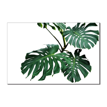 Nordic Art Tropical Plants Scandinavian Poster Green Leaves Decorative Picture Modern Wall Art Canvas Paintings Home Decoration
