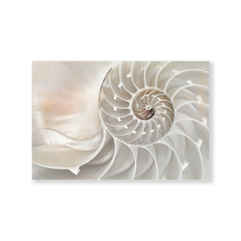 Nordic modern style OEM trumpet shell home hotel wall decoration printing canvas painting